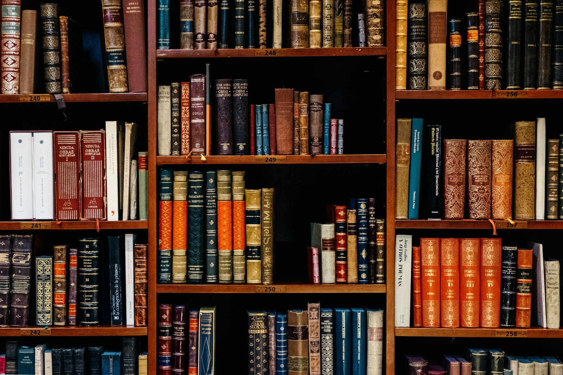 Shelves of legal and academic volumes.